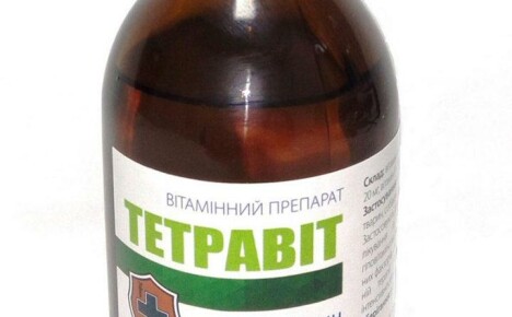 Tetravit para animais: instruções de uso e características de uso
