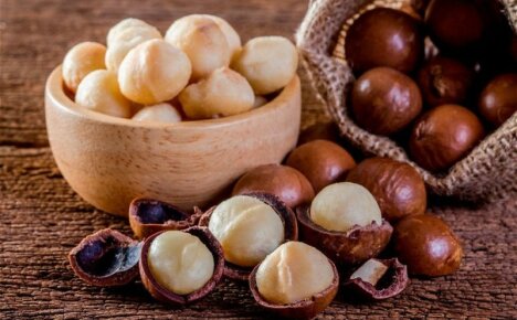 Makadamiový orech - výhody a škody najdrahšieho a tučného orecha na svete