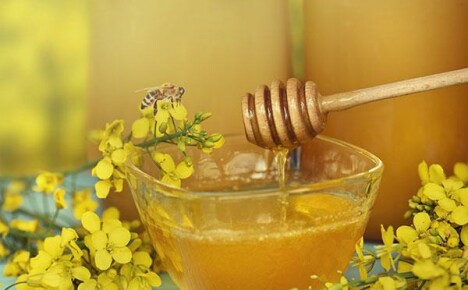 Řepkový med: výhody a poškození, dopad na různé tělesné systémy