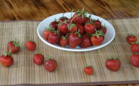 What is contained in strawberries: vitamin composition and useful properties of berries