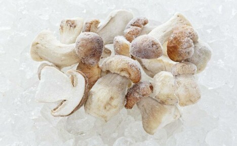 Jak vařit zmrazené houby chutně a zdravě