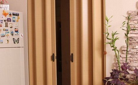 Accordion door: from advantages to installation features