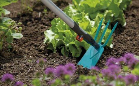 Arten von Hacken zum Jäten - Auswahl von Werkzeugen für die Arbeit im Garten und Gemüsegarten