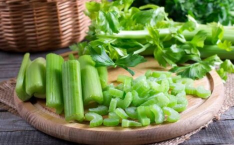 Nejchutnější koření ze zahrady - stopkatý celer, výhody a poškození