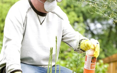Co jsou pesticidy a jaká je jejich klasifikace