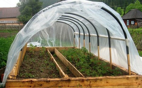 Ako si vybrať skleníkovú fóliu na pestovanie dobrej plodiny