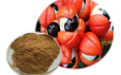 Natural plant energy drink - guarana extract, what is it
