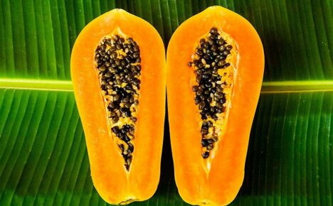 Gesundheitliche Vorteile von Papaya