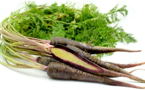 Black carrots - what is it and what are its features