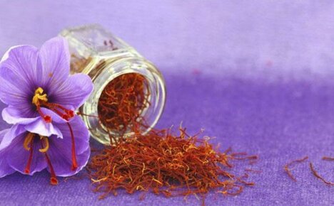 Voordelen en toepassingen van saffraan - een dure schoonheidsformule
