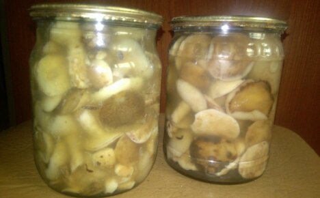 Pozor - nakládané houby jsou zakalené, co s nimi a můžete jíst