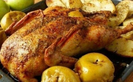 Duck with apples in the oven - a dish for holidays and weekdays
