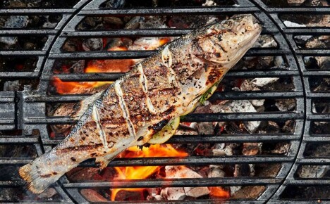 Kanıtlanmış tariflere göre piknik için ızgara balık