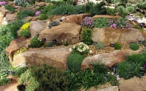 O que é um jardim de pedras e um jardim rochoso?