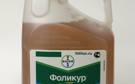 Fungicide Folicur - zastosowanie unikalnego leku do leczenia i stymulacji wzrostu roślin