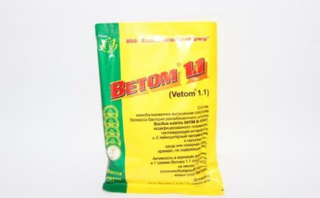 Vetom 1.1 für Tiere - Gebrauchsanweisung des Immunstimulans