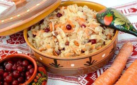 Incredibly delicious sauerkraut with cranberries - a recipe for a juicy dish