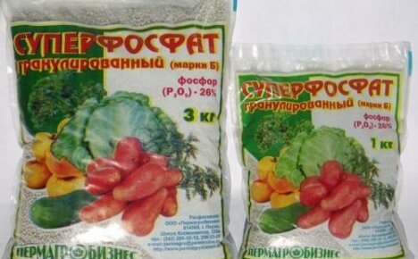 Fosfátová hnojiva pro rajčata: druhy, názvy, použití