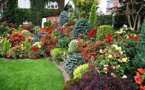 English flower garden - a magnificent view in the garden all year round