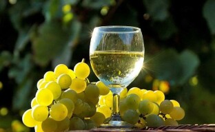 Weißwein aus Citron Magarach
