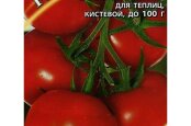 Sekrety uprawy pomidorów Samara na bogate zbiory
