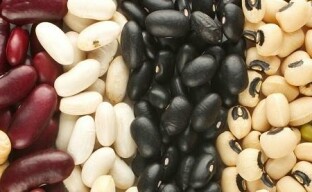 Druhy fazolí a jejich příznivé vlastnosti