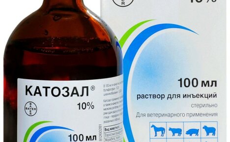 Anweisungen zur Verwendung des Tierarzneimittels Catosal unter Angabe der Dosierung für verschiedene Tiere