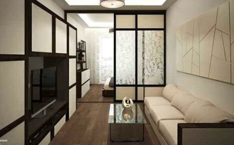 Phòng ngủ trong phòng khách: ý tưởng phân vùng và mẹo thiết kế
