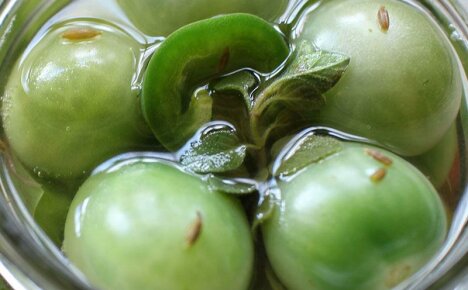 Learn to cold cook salty green tomatoes for the winter