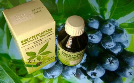 Eleutherococcus tincture: instructions for use, indications and contraindications