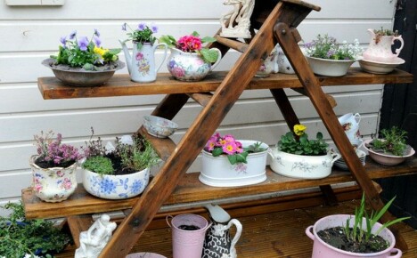 Květinový žebřík ozdobí váš dům a zahradu