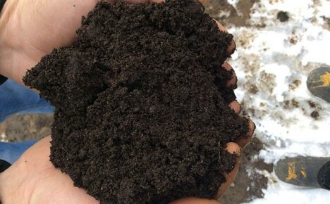 Making a fertile mixture using peat