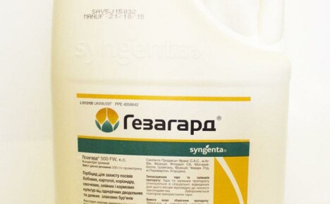 Návod k použití herbicidu Gezagard s podrobným popisem od výrobce