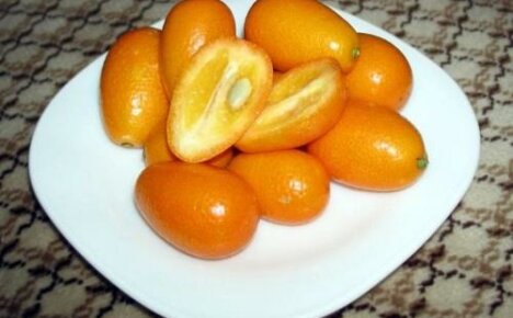Kan kumquat provocera cystit eller är japansk apelsin bra för dig?
