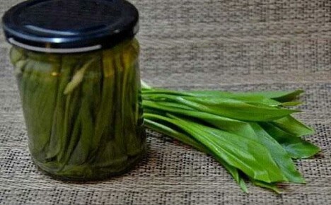 Simple recipes for cooking wild garlic for the winter