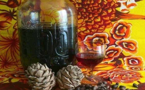 Tinktura aromatičnog i ljekovitog cedra - blagodati i štete ljekovitog sredstva