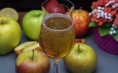 How to make apple cider at home - a noble French drink
