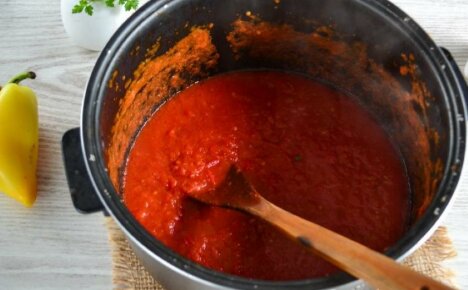 Wie man Tomatenmark in einem Multikocher kocht - die Feinheiten des Küchenprozesses