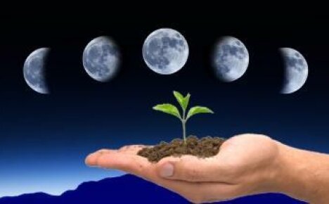 Comment la lune affecte la terre en termes de jardinage