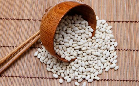 An irreplaceable product in the core diet - white beans, the benefits and harms of hearty beans