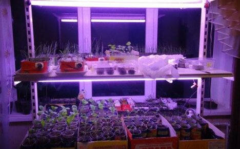 Natural lighting and artificial lighting for seedlings