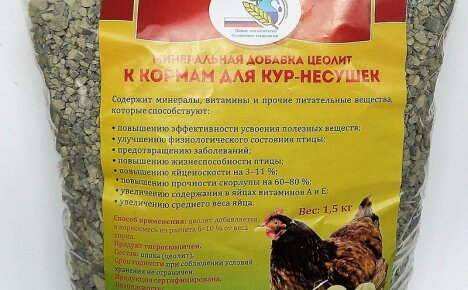 Ефективността от използването на витаминни и минерални добавки и витамини за кокошки носачки за производство на яйца