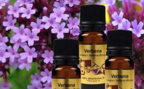 Verbena magic oil will cure everything and help in love