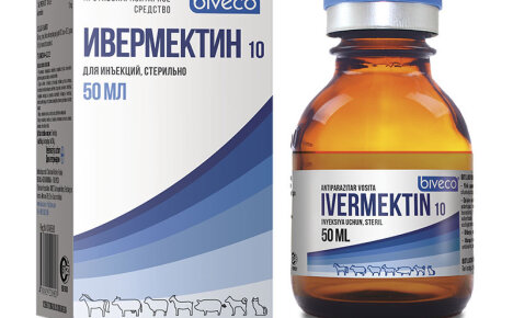 Λεπτομερείς οδηγίες για τη χρήση του Ivermectin στην κτηνιατρική