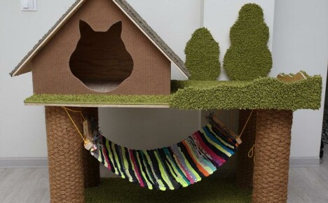 Do-it-yourself schönes und komfortables Haus für eine Katze