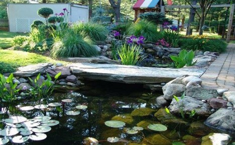 Idea reka bentuk terbaik untuk kolam di pondok musim panas