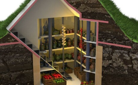 How to make a plastic cellar is a good solution for storing crops