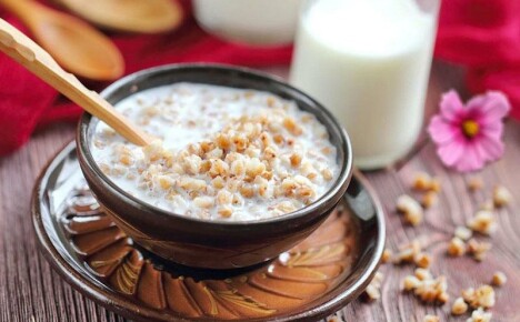 Quão útil é o trigo sarraceno com leite para nossa saúde