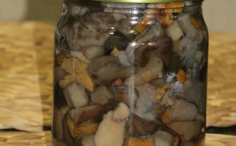 Рецепти за мариноване на миши гъби - бърза и вкусна подготовка за зимата