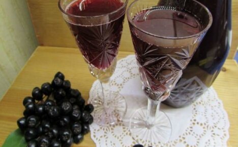 Cara membuat wain chokeberry - arahan langkah demi langkah untuk pemula